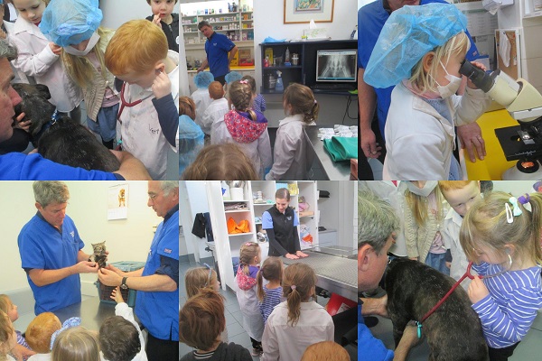 Lady Gowrie Childcare Visit Hobart Animal Hospital